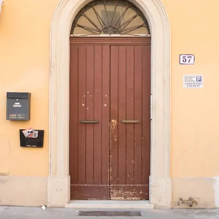 Margot * Bologna